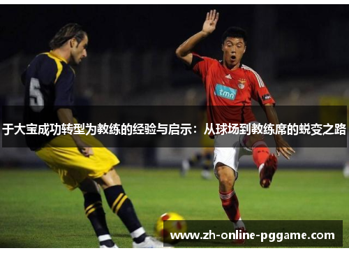 于大宝成功转型为教练的经验与启示：从球场到教练席的蜕变之路
