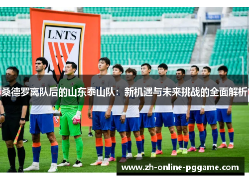 桑德罗离队后的山东泰山队：新机遇与未来挑战的全面解析