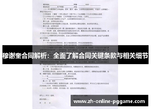 穆谢奎合同解析：全面了解合同关键条款与相关细节