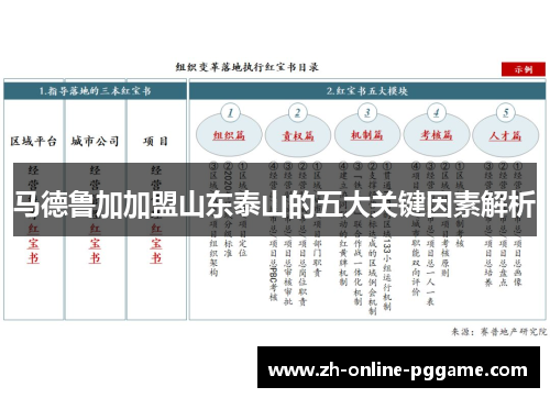 马德鲁加加盟山东泰山的五大关键因素解析