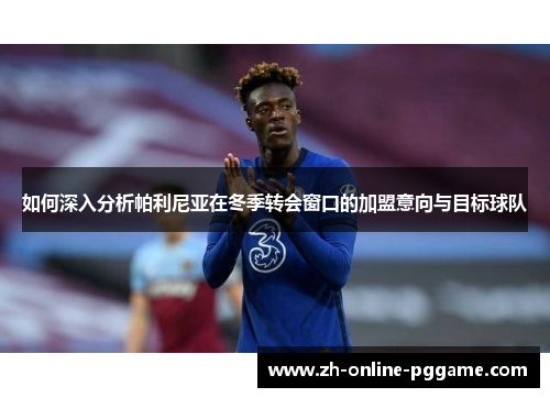 如何深入分析帕利尼亚在冬季转会窗口的加盟意向与目标球队