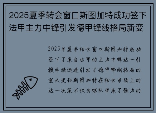 2025夏季转会窗口斯图加特成功签下法甲主力中锋引发德甲锋线格局新变化 2025夏季转会窗口斯图加特成功签下法甲主力中锋引发德甲锋线格局新变化